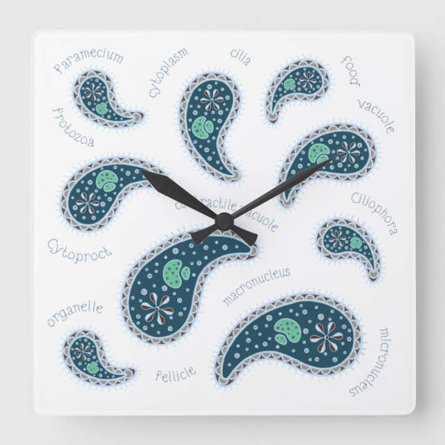 Paramecia Paisley Protozoan Biology Science Light Square Wall Clock (Front)