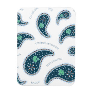 Paramecia Paisley Protozoan Biology Science Magnet