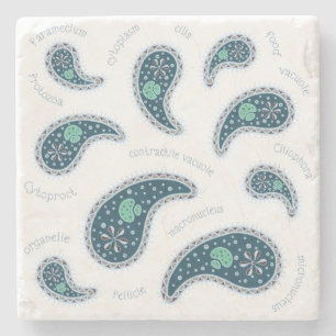 Paramecia Paisley Protozoan Biology Science Stone Coaster