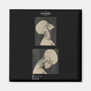 Paramore cropped headbanger x-ray doctors magnet