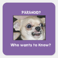 Paranoid Chihuahua stuck on Barking Anxiety