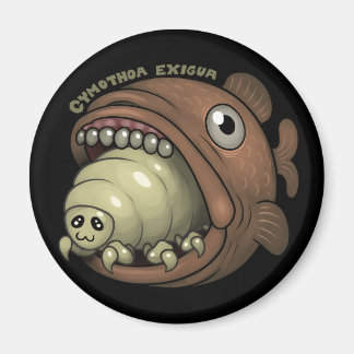 PARASITES: Cymothoa exigua Magnet