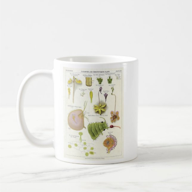 Parasitic & Carnivorous Plants Coffee Mug (Left)