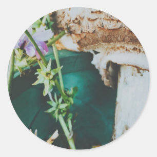 Parasol mushroom, Swedish Archipelago, Sweden Classic Round Sticker