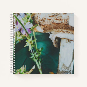 Parasol mushroom, Swedish Archipelago, Sweden Notebook