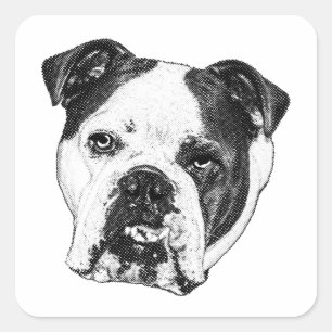 Parcel Mark Bulldog Square Sticker