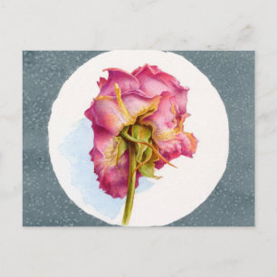 PARCHED WRINKLED ROSE POSTCARD