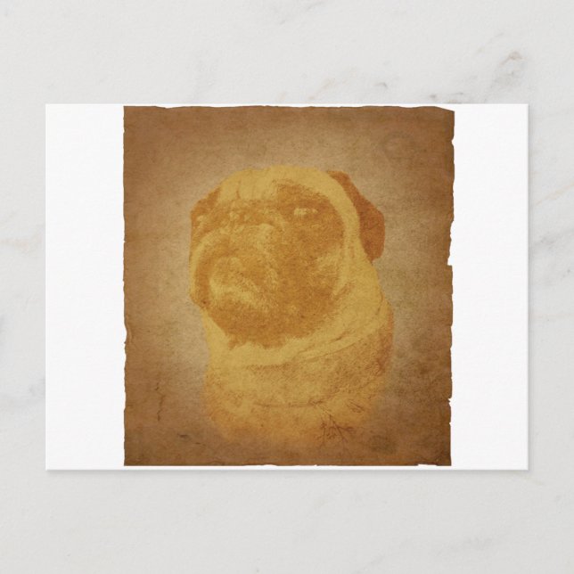 Parchment Pug Postcard (Front)