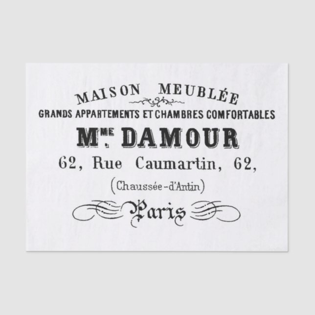 Paris Apartment Typography Tissue Paper (Front)