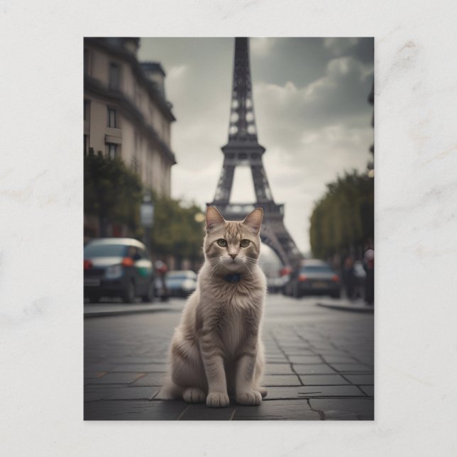 Paris Cat Postcard (Front)