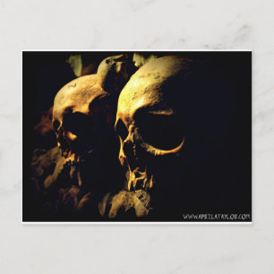 Paris Catacombs by April A Taylor Postcard