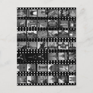 Paris Collections Postcard