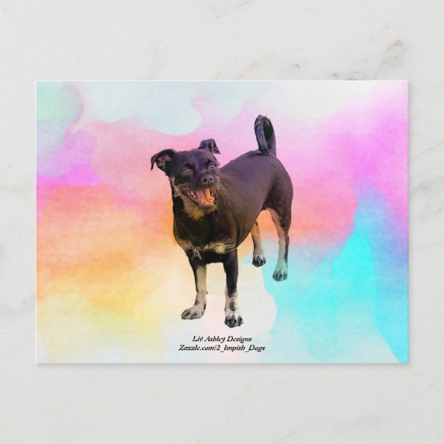 Paris Disco Postcard (Front)