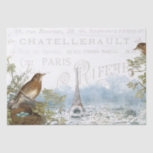 Paris Eiffel Tower Bird Nest French Text Decoupage Tissue Paper