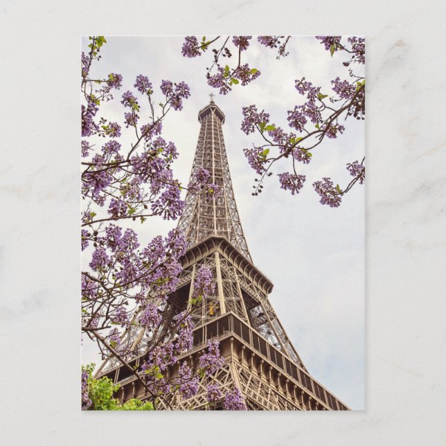 Paris Eiffel Tower in Springtime Photo Postcard (Front)