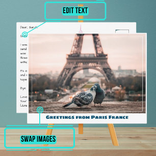 Paris Eiffel Tower Love Birds Postcard