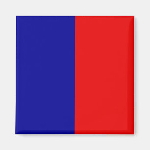 Paris Flag Magnet