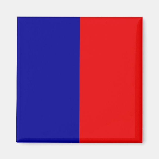Paris Flag Magnet (Front)