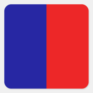 Paris Flag Square Sticker