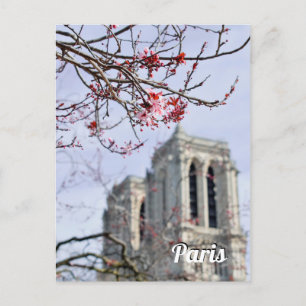 Paris France travel photo  Postcard
