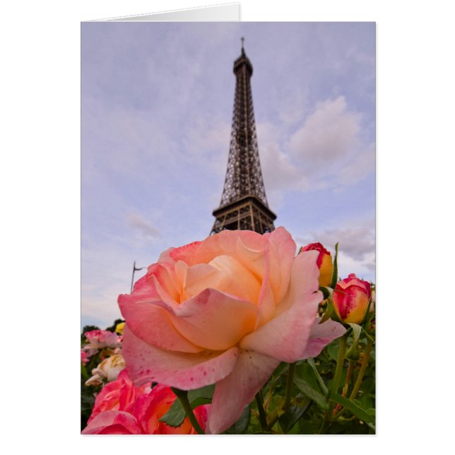 Paris in Spring is Always a Good Idea (Front)