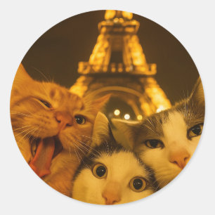 Paris Night Cat Selfie Squad Lover                 Classic Round Sticker