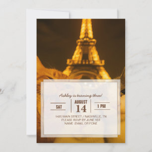 Paris Night Cat Selfie Squad Lover                 Invitation