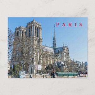 Paris Notre Dame Cathedral view postcard