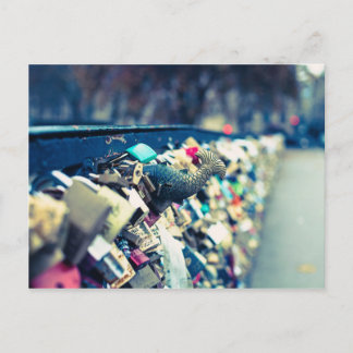 Paris Pont des Arts Love Locks Photo Postcard