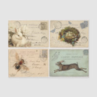 Paris Postcards