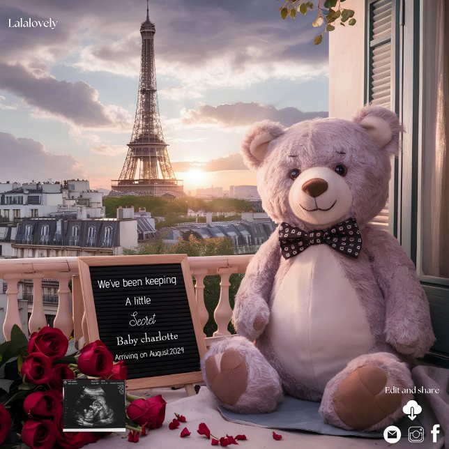 Parisian Bear Pregnancy Announcement (Creator Uploaded)