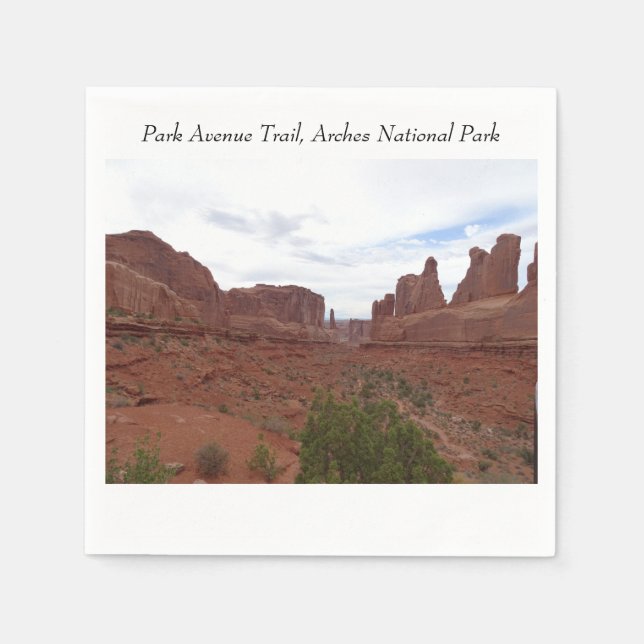 Park Avenue Trail, Arches National Park Napkin (Front)