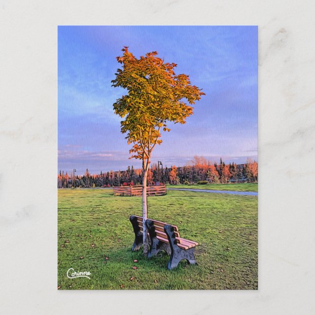 Park Bench Alaska - Postcard (Front)