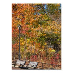 Park Bench and Autumn Leaves Photo Print