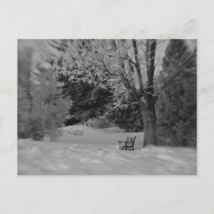 Park Bench in Winter Postcard