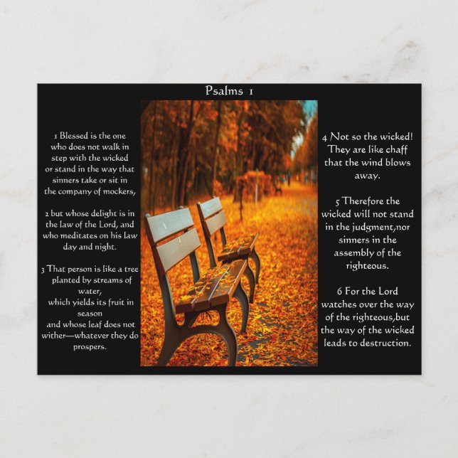 Park Benches With Psalms chapter 1 Postcard (Front)