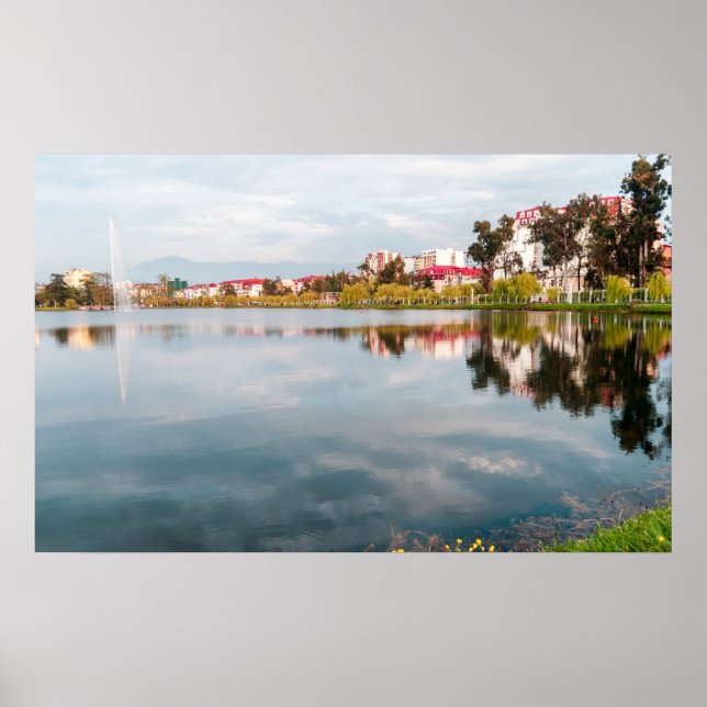 Park in Batumi  Poster (Front)