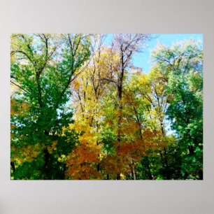 Park in the provincial ukrainian city poster