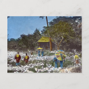 Park in Tokyo Japan Vintage Hand Tinted Postcard