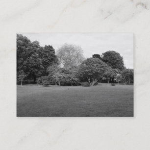 Park Landscape Business Card