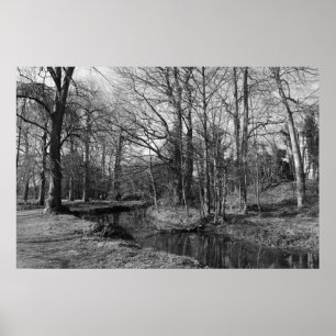 Park Landscape - Bute Park, Cardiff Poster