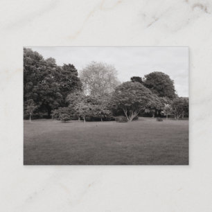 Park Landscape (Warm Toned BW) Business Card