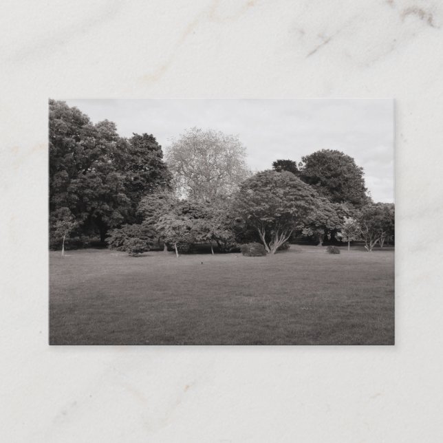 Park Landscape (Warm Toned BW) Business Card (Front)
