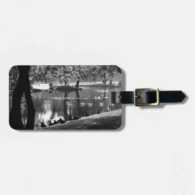 Park Life cd ltcna Luggage Tag (Front Horizontal)