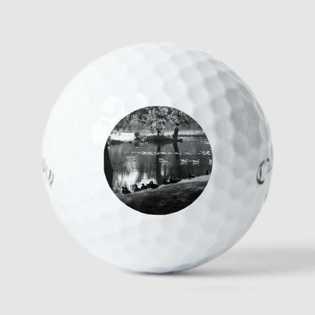 Park Life css gbcna Golf Balls (Front)