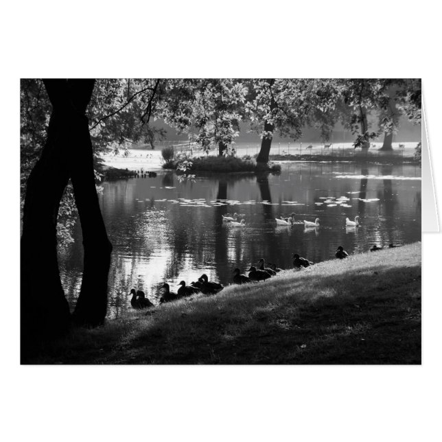 Park Life gccnm (Front Horizontal)