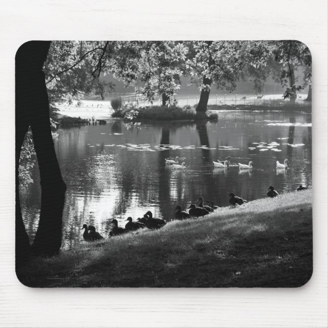 Park Life mpcnm Mouse Pad (Front)