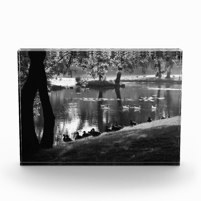 Park Life pbm Photo Block (Front)