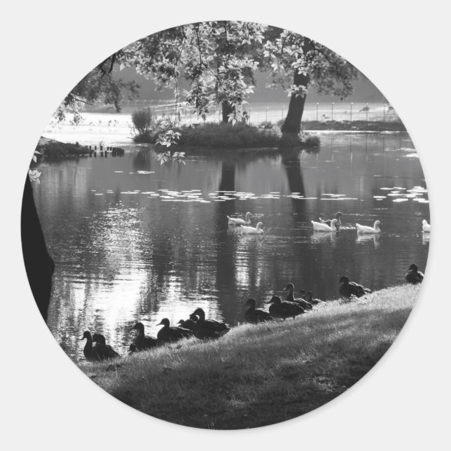 Park Life stcn Classic Round Sticker (Front)