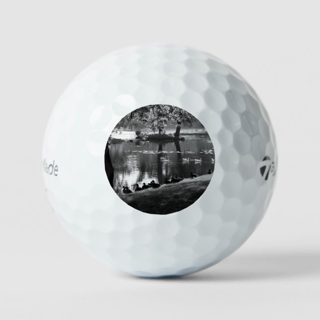 Park Life tmtp5 gbcna Golf Balls (Front)